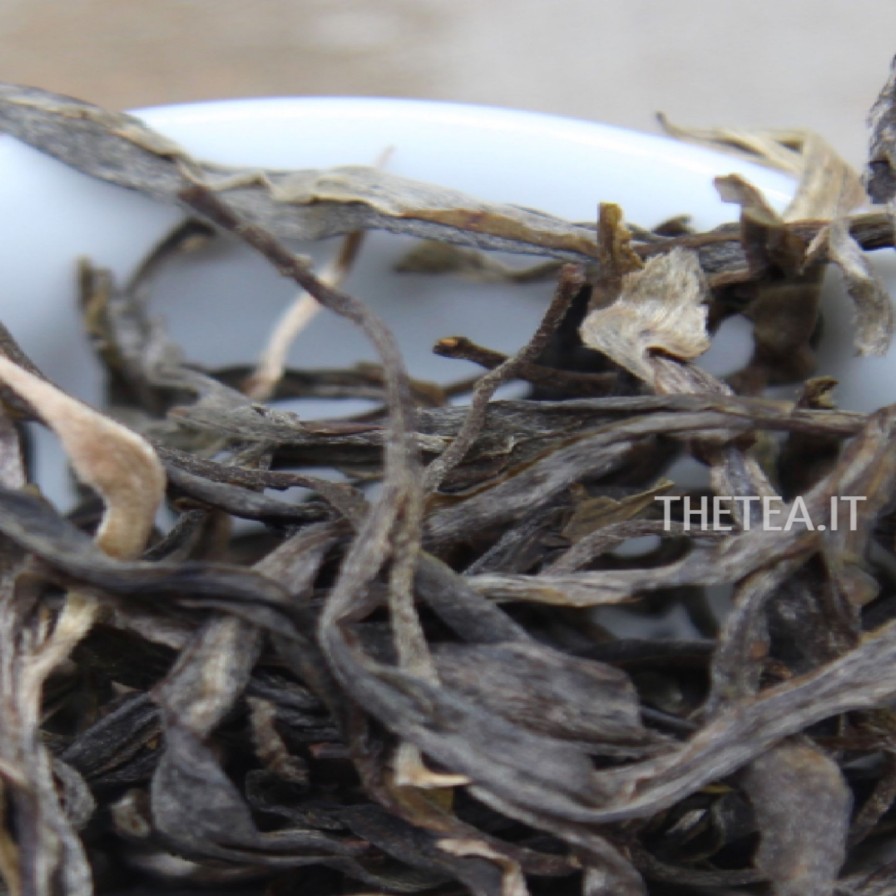 Foglie Di Te The Tea Torino | Puer Sheng Pu Ancient Trees