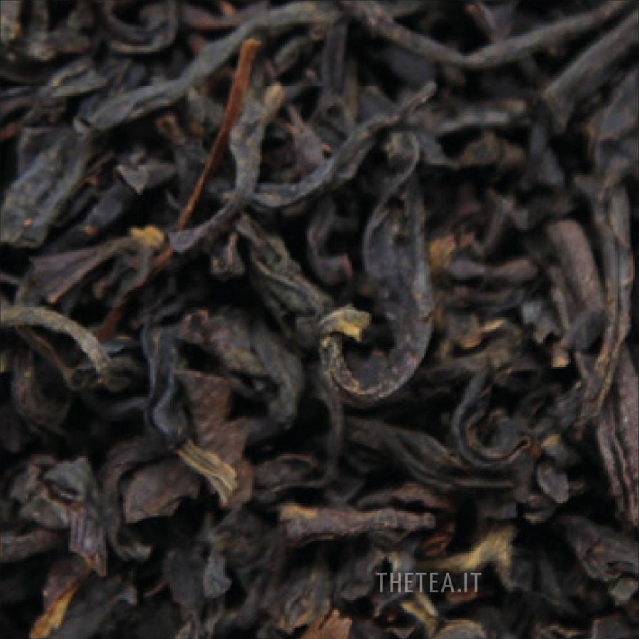 Foglie Di Te The Tea Torino | Lapsang Souchong