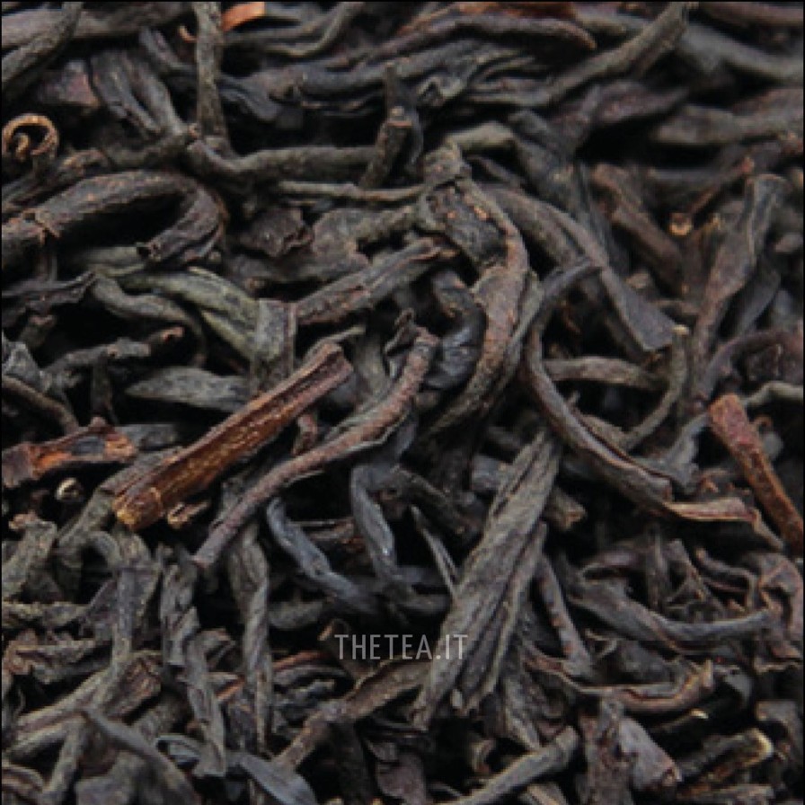 Foglie Di Te The Tea Torino | Nuwara Op