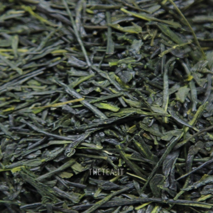 Foglie Di Te The Tea Torino | Gyokuro Asahi Uji