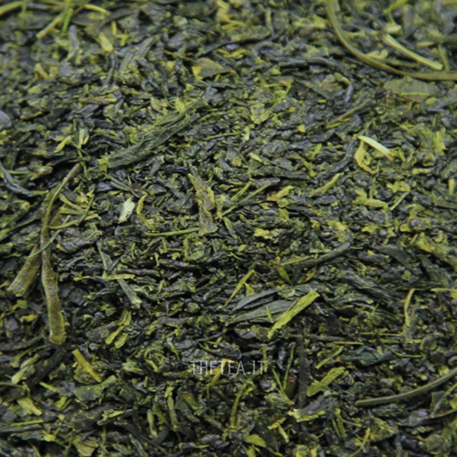 Foglie Di Te The Tea Torino | Shincha Classic Kagoshima