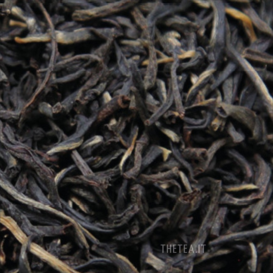 Foglie Di Te The Tea Torino | Ceylon Fop1 Ratnapura