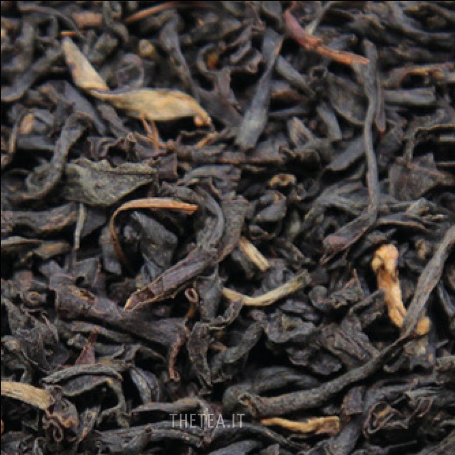 Foglie Di Te The Tea Torino | Assam Tgfop1 Dikom