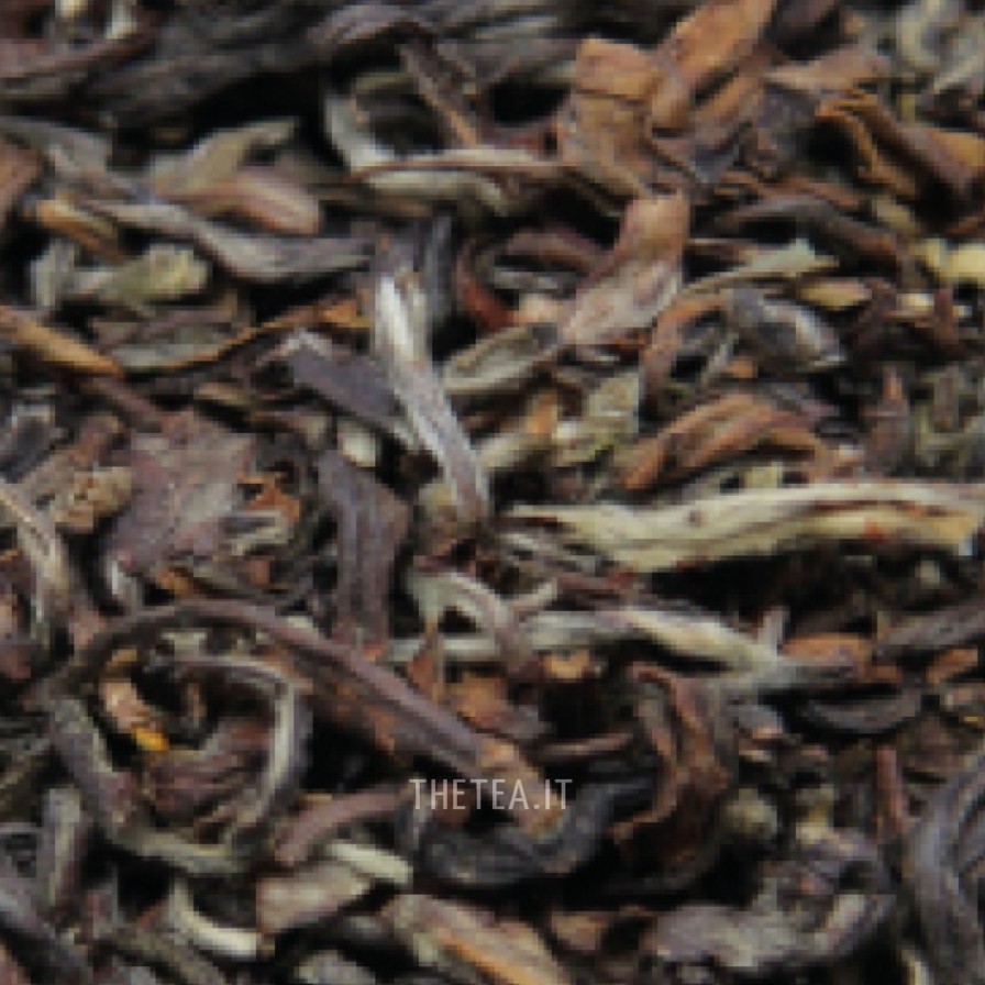 Foglie Di Te The Tea Torino | Nepal Jun Chiyabari Black Tea